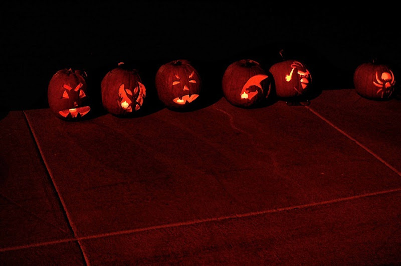 DSC_0077 DSC_0077