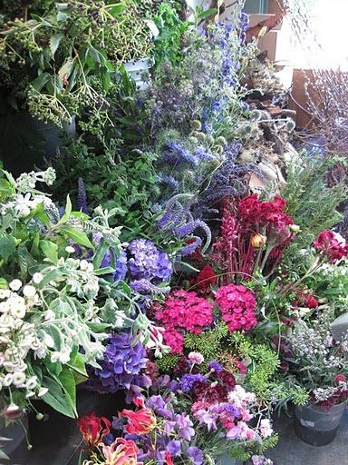 [8-d-francoiseIMG_45904.jpg]