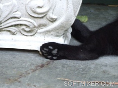 [8ec0fda828653391e05c8aa0211%5B8%5D.jpg]