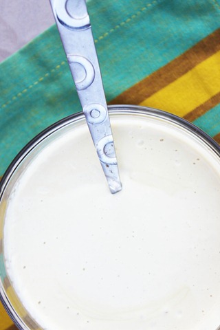 [cashew-cheese-68.jpg]