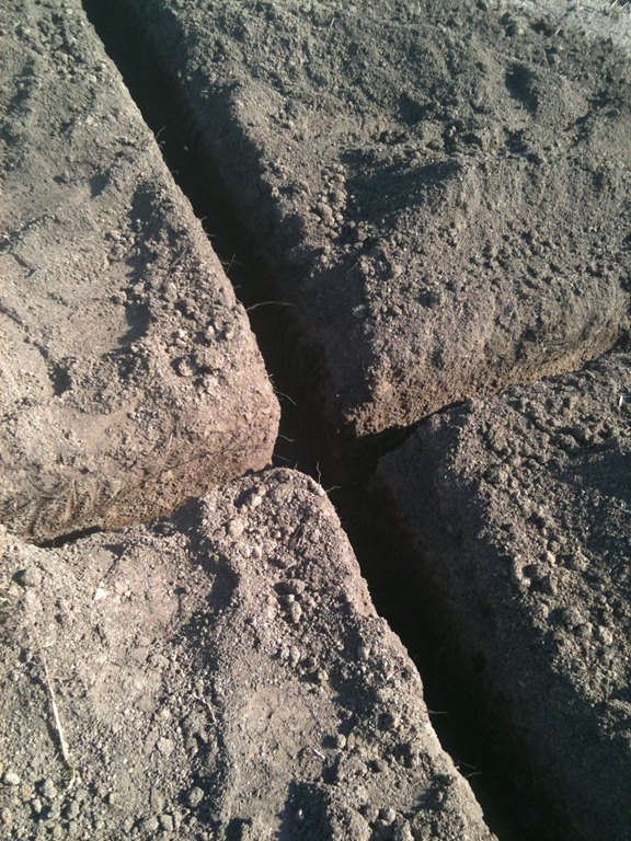 [IMG_4710%255B6%255D.jpg]