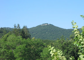 IMG_2796.jpg