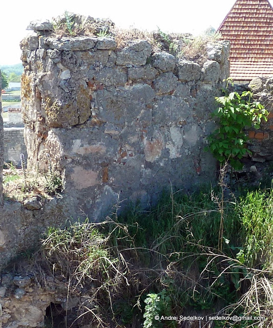 P1150816.JPG