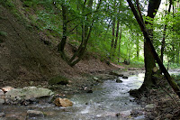 IMG_0335.jpg Photo