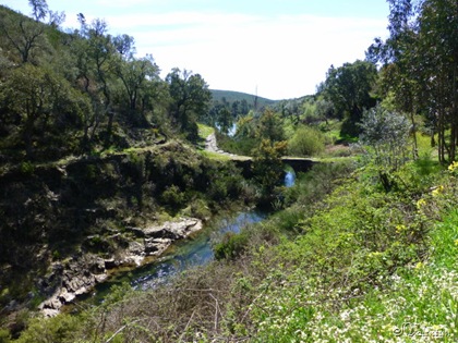 [P10202721%255B1%255D.jpg]