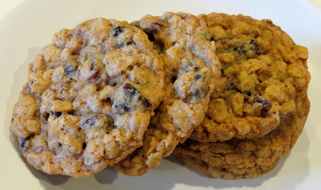 [Meyer%2520Lemon%2520Cranberry%2520Oatmeal%2520Cookies%25203%255B4%255D.jpg]