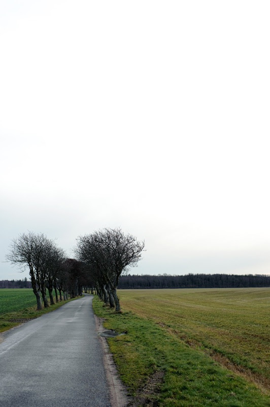 DSC_7118