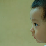 2010-06-08 2010-06-08