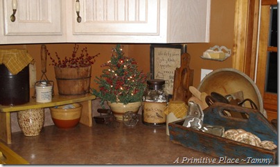 A Primitive Place ~Tammy