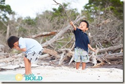 www.freshlybold.com