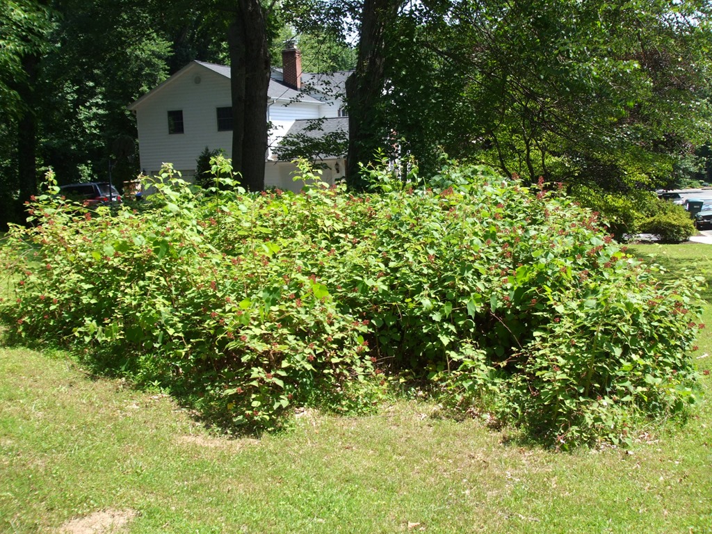 [DSCF1772%255B3%255D.jpg]