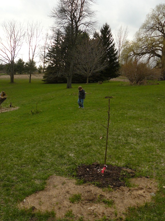 [Egghunt-1173.jpg]