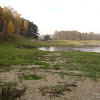 dsc06111.jpg