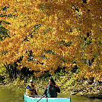 Parc de la Rivière-des-Mille-Îles