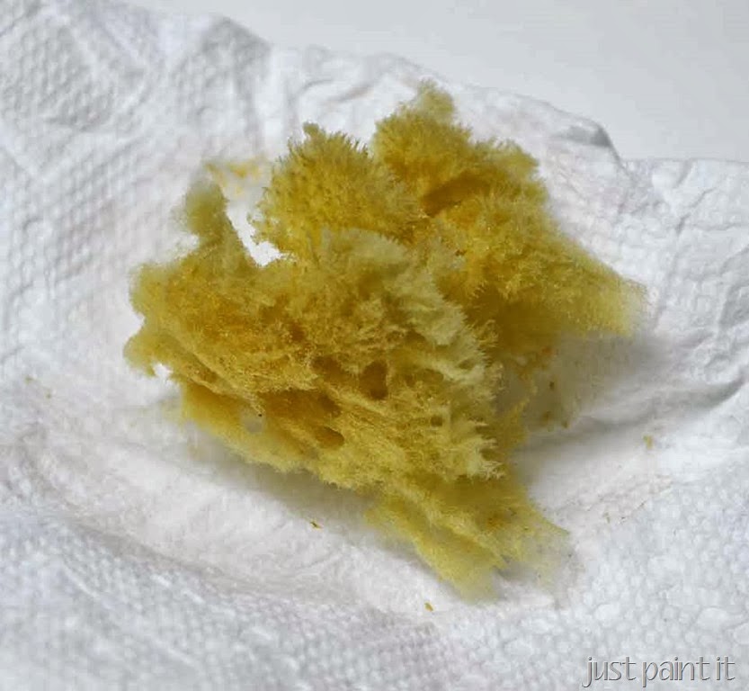 [Mercury-Glass-Craft-Paint-G%255B2%255D.jpg]