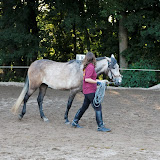 6Y1I2958_DxO_raw.jpg 6Y1I2958_DxO_raw.jpg