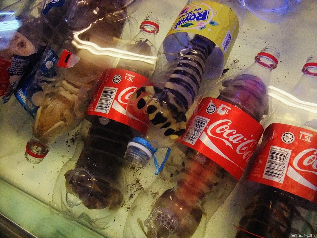 [DSCF8004%255B8%255D.jpg]