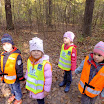 DSCF1133.JPG