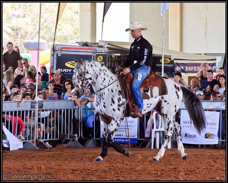 il/Фото: Stallion Show 2011 (20110416 stllion show 050 2164)