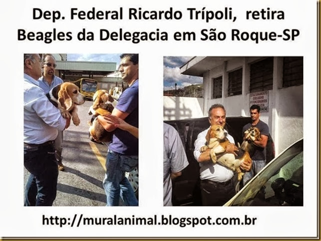 dep-tripoli_beagles