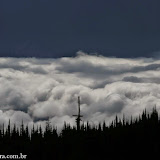 Caminhando nas nuvens!!!! - Mount Revelstoke NP, BC, Canadá