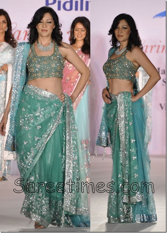 Aditi_Govitrikar_Embroidery_Saree Aditi_Govitrikar_Embroidery_Saree