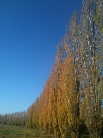 [IMG_9785%255B4%255D.jpg]