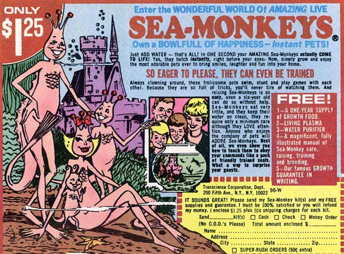 [sea-monkeys21.jpg]