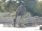 Etosha Nationalpark