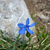 2011.05.24. - Stol