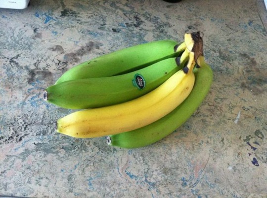 [viral-picdump-pics-41%255B2%255D.jpg]