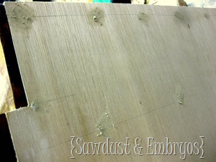 Fill Nail Holes with Wood Putty! {Sawdust and Embryos}