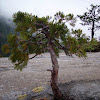PICT0034.JPG