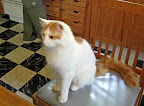 110602 - Aramis 2.jpg