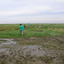 Givers Saeftinghe 2006