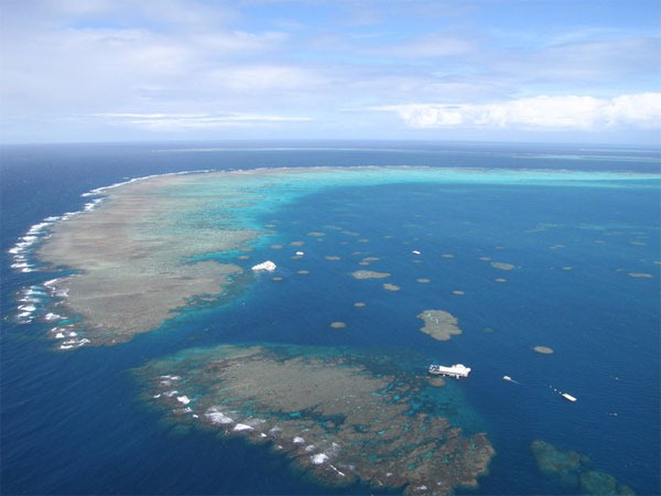 [Great-Barrier-Reef%255B5%255D.jpg]