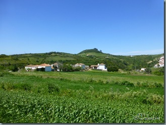 P1030170 P1030170