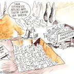 517.jpg
