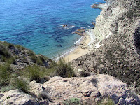 IMG_5165.JPG Photo
