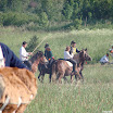 Heilsberg 2011-0031.jpg