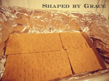 SmoresFudge SmoresFudge