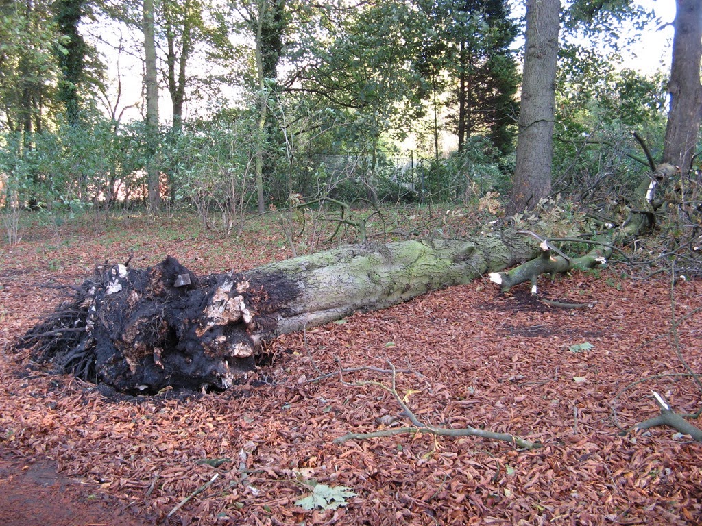 [IMG_9431%255B5%255D.jpg]