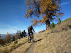P1020156.JPG