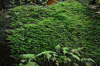 DSC_2906.JPG