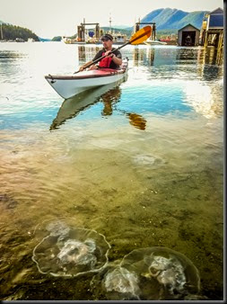 (c)Worldwildadventures-0932