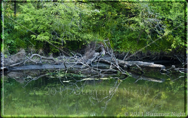Ропотамо Ропотамо