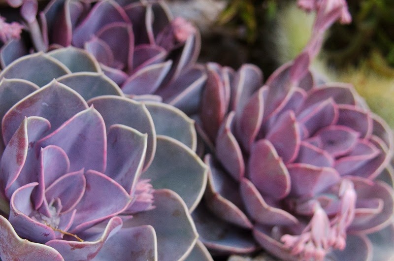 [Eze-18%255B5%255D.jpg]