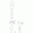 Twitter icon size W48xH48