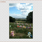 hampsteadheath.jpg