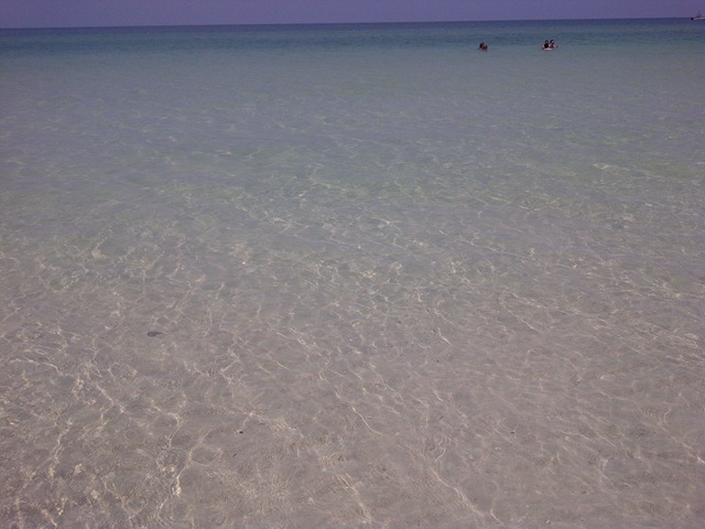 [IMG20110611007493.jpg]
